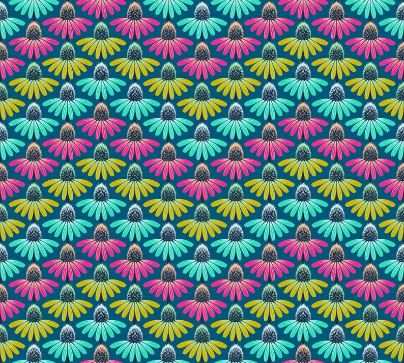 Perennial Borders - Echinacea Rhythm, Parade