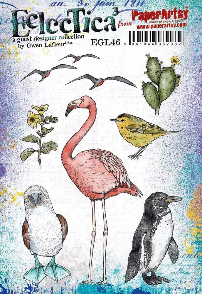 birds, flamingo, cactus