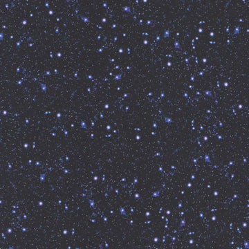 Moth to a Flame by Dear Stella - Celestial Sky, Midnight Moth to a Flame by Dear Stella - Celestial Sky, Midnight Cotton Fabric