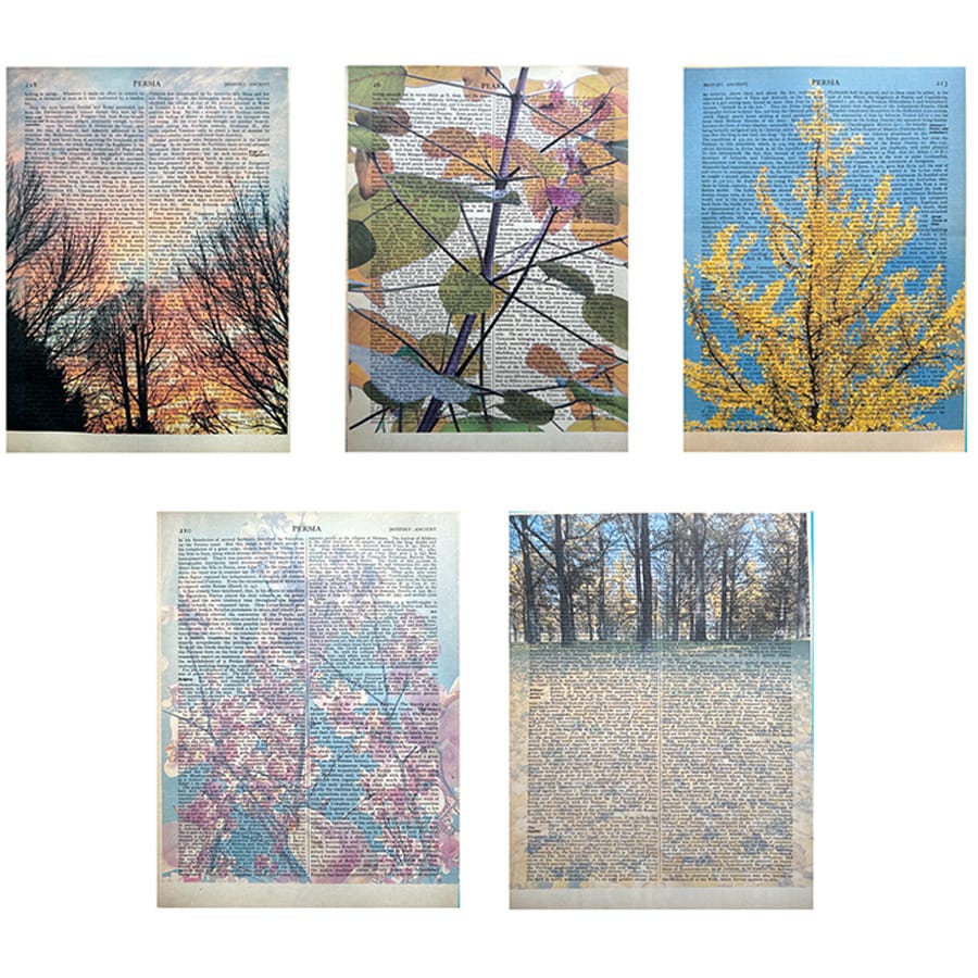 Worth 1,000 Words Collage Papers: Trees