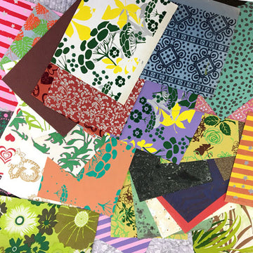 Indian Cotton Rag Paper Variety Pack