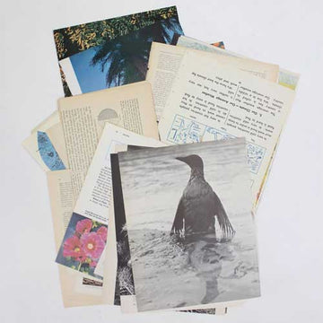 Encyclopedia vintage paper collage pack