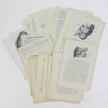 Medical Texts vintage paper collage pack