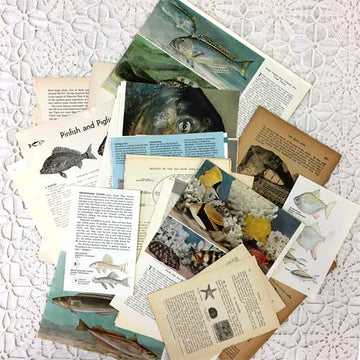 1 Fish, 2 Fish, 3 Fish vintage paper collage pack