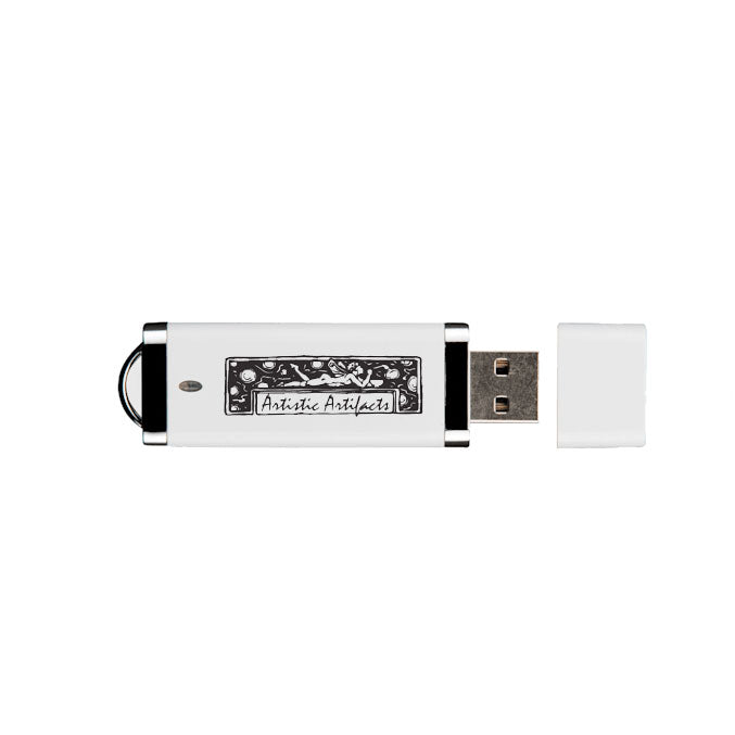 2GB USB Flash Drive with Artistic Artifacts logo