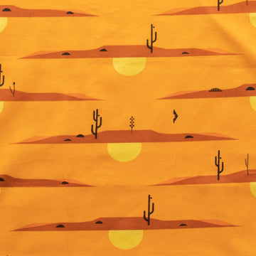 Charley Harper The Desert, Desert at Dusk