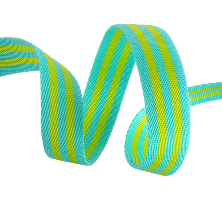 Tula Pink Webbing, 1 in. wide, Lime/Turquoise