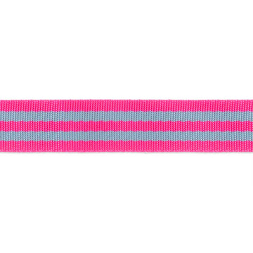 Tula Pink Webbing, 1 in. wide, Aqua/Hot Pink