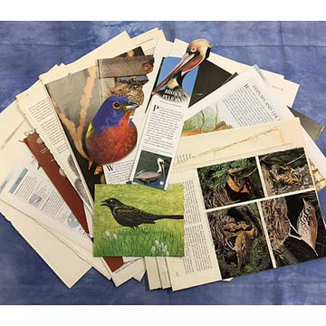 Birds vintage paper collage pack